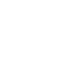 NORVI logo